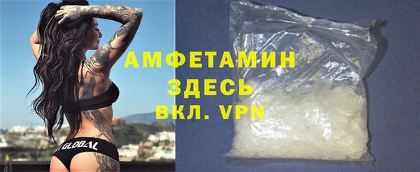 винт Лагань
