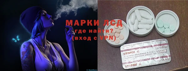 винт Лагань
