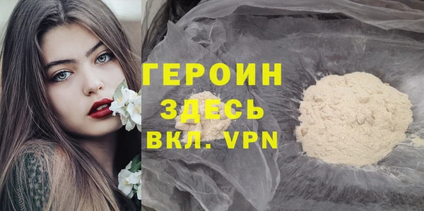 винт Лагань