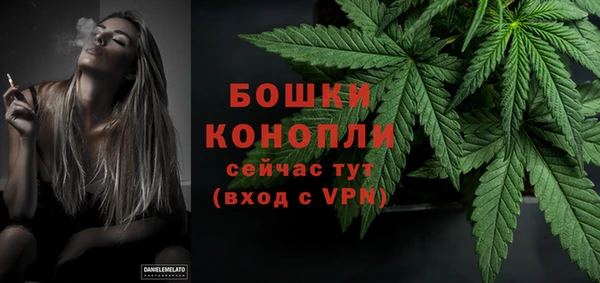винт Лагань