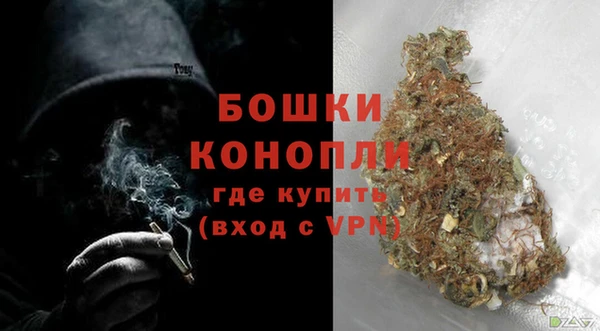 винт Лагань