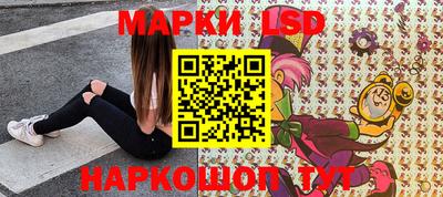 прущие крисы Майкоп