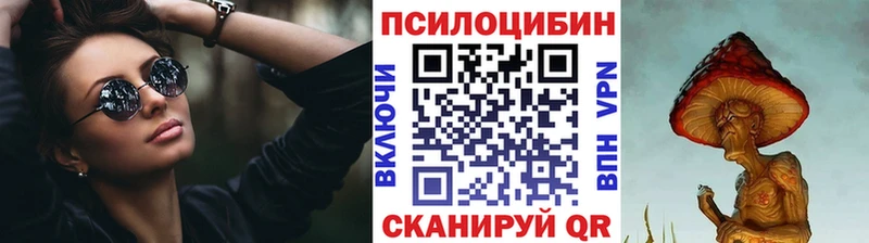 площадка какой сайт Отрадный Галлюциногенные грибы Cubensis