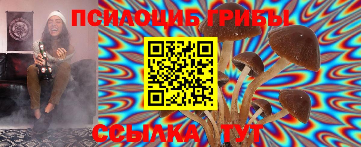 Псилоцибиновые грибы мухоморы  купить закладку  Отрадный  Вход с VPN 